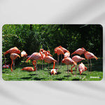 Tapis de souris Animaux Flamant Rose - Vignette | CustomTonTapis.fr