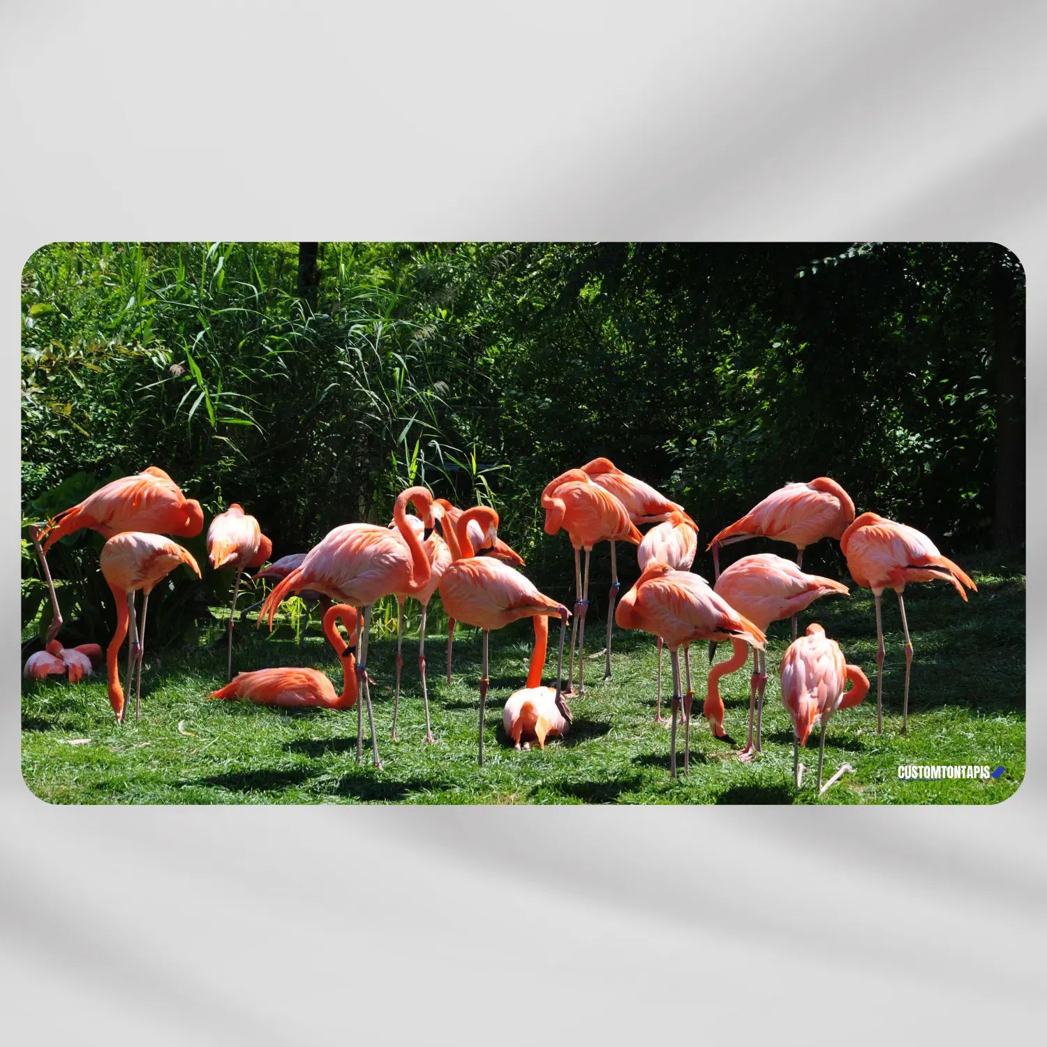 Flamant Rose Tapis de souris Animaux